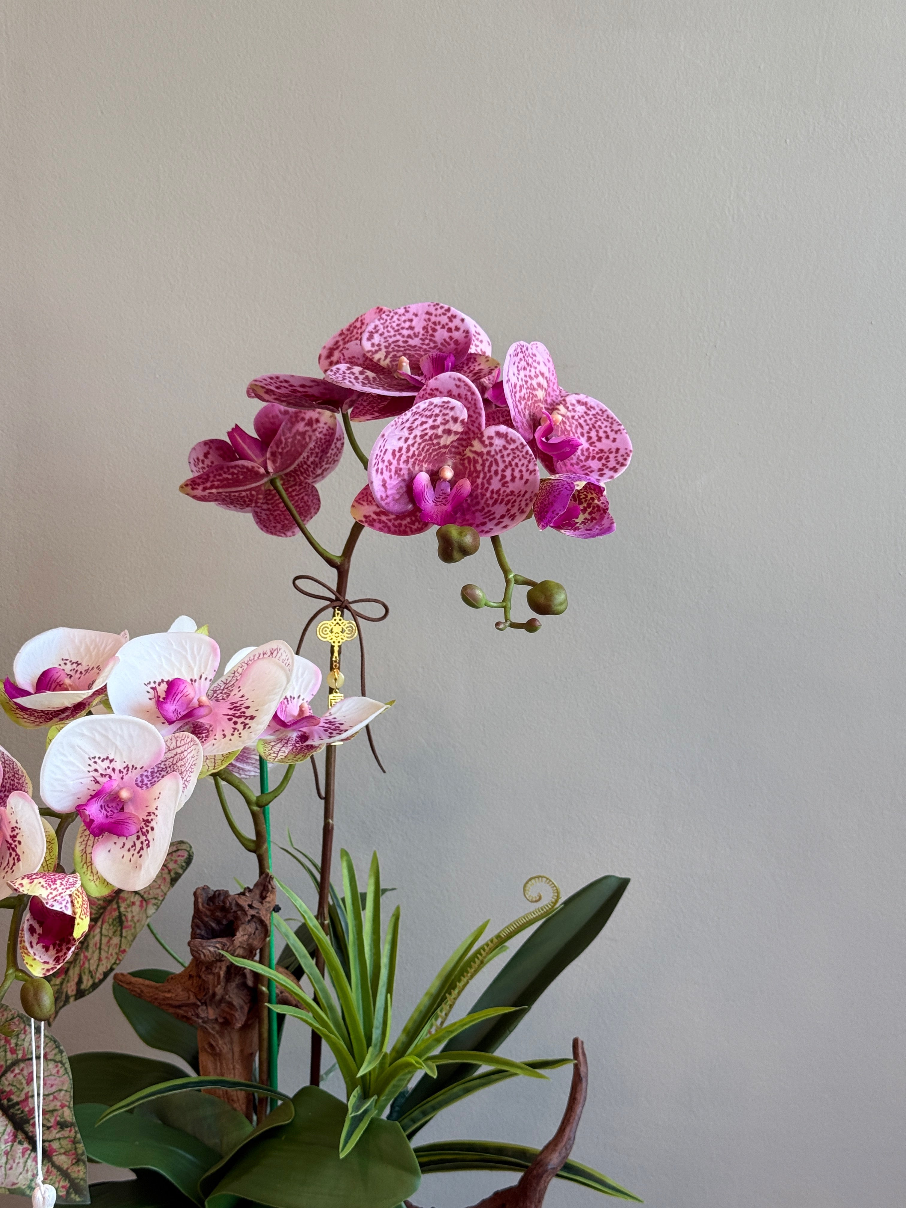 The Black Orchid