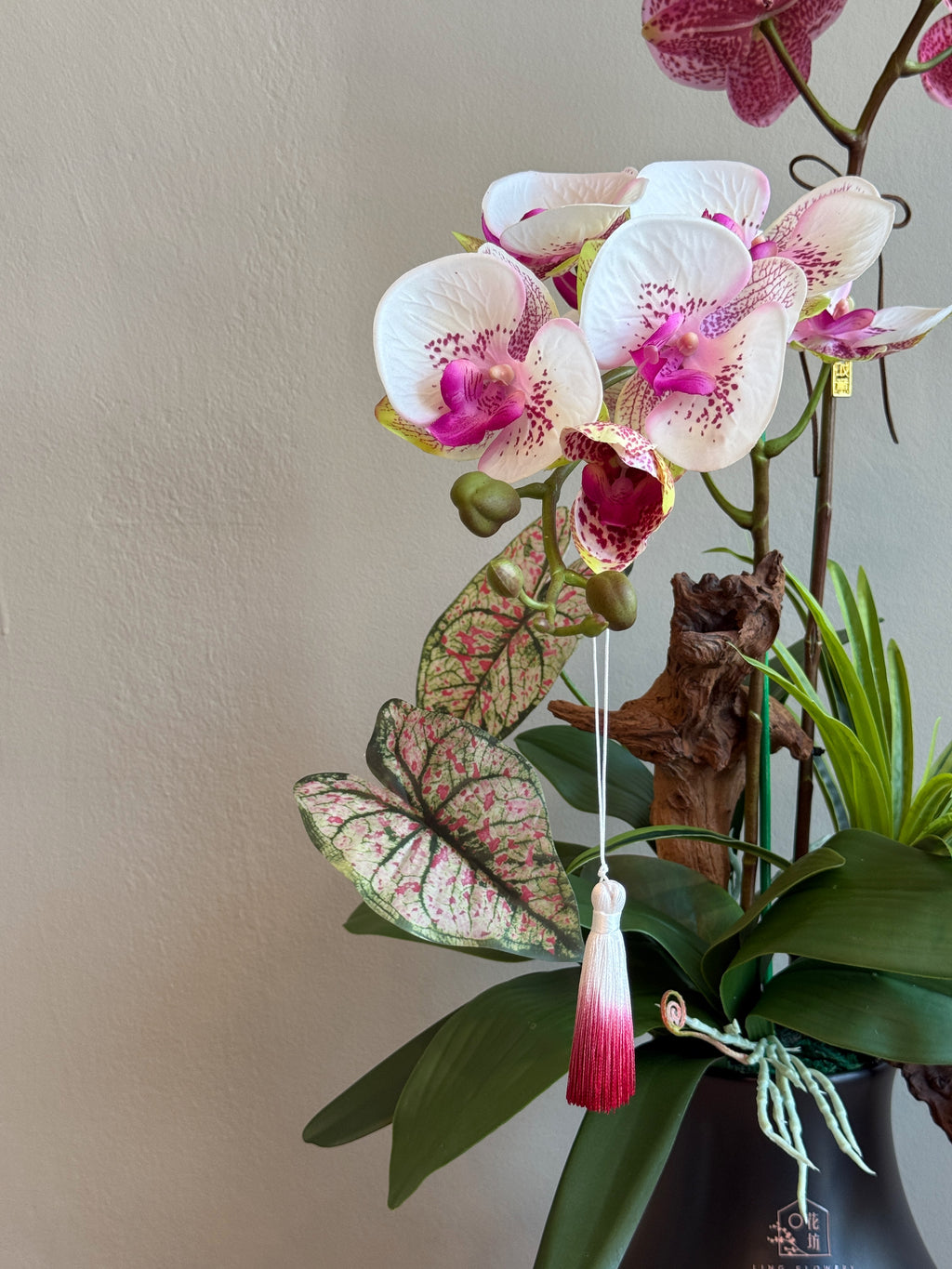 The Black Orchid